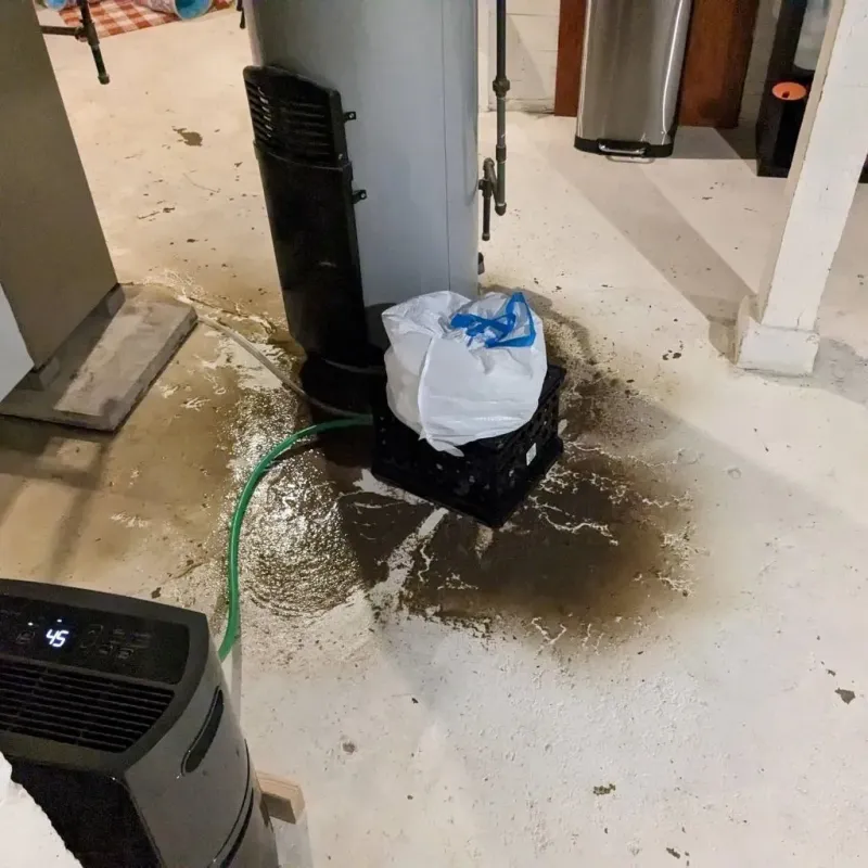 Sewage Backup Cleanup Service in Crenshaw County, AL